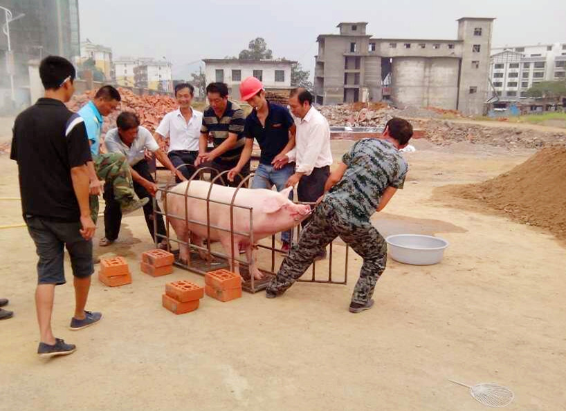 这个国庆有瘾了~【财茂·印象恭城】送家电！送房款！送可乐！ [872 / 作者:财茂·印象恭城 / 帖子ID:104899