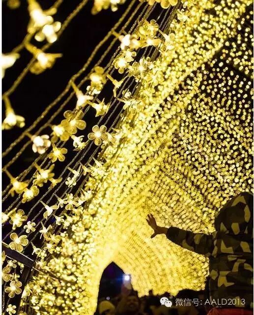 2016悉尼灯光音乐节如何艺术地“浓墨重彩”丨A·特讯