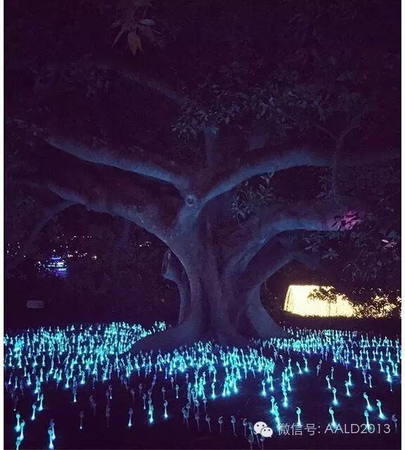 2016悉尼灯光音乐节如何艺术地“浓墨重彩”丨A·特讯