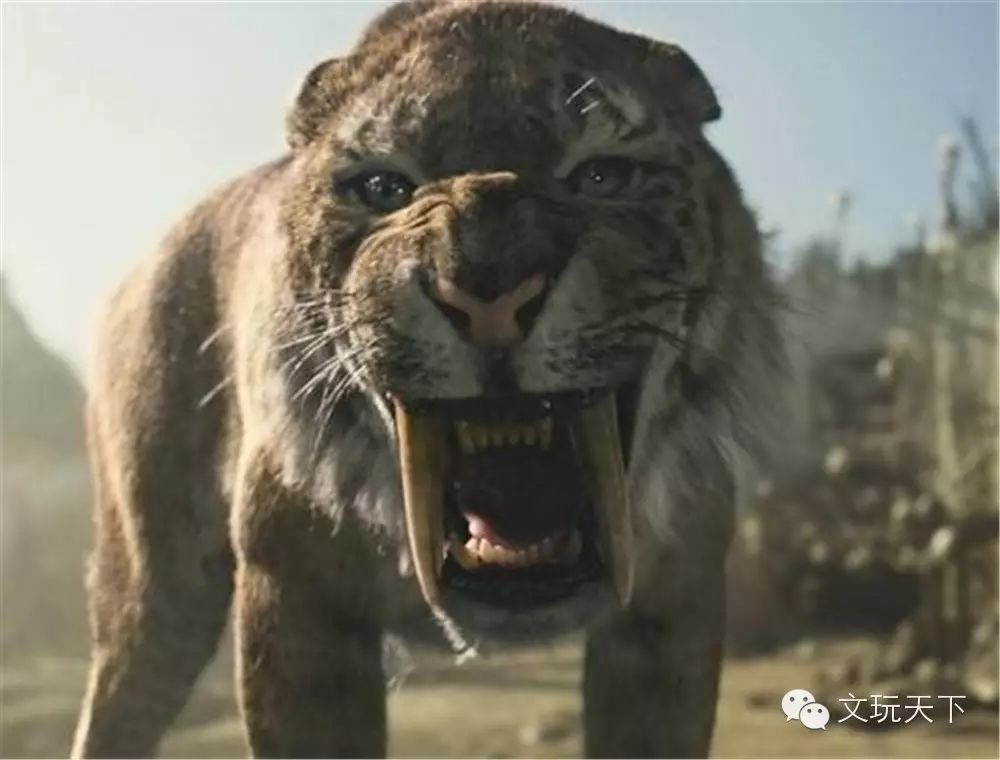 让远古时代的猛兽,带您行走一段时光之旅!
