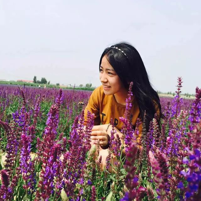 【so美呆】呼市最大薰衣草庄园开园!约起来,快看免费入园时间!