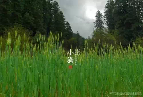 640?tp=webp&wxfrom=5&wx_lazy=1