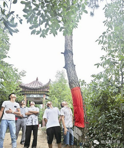 ...菩萨显灵?一自然奇观引发众人接“松雨”喝