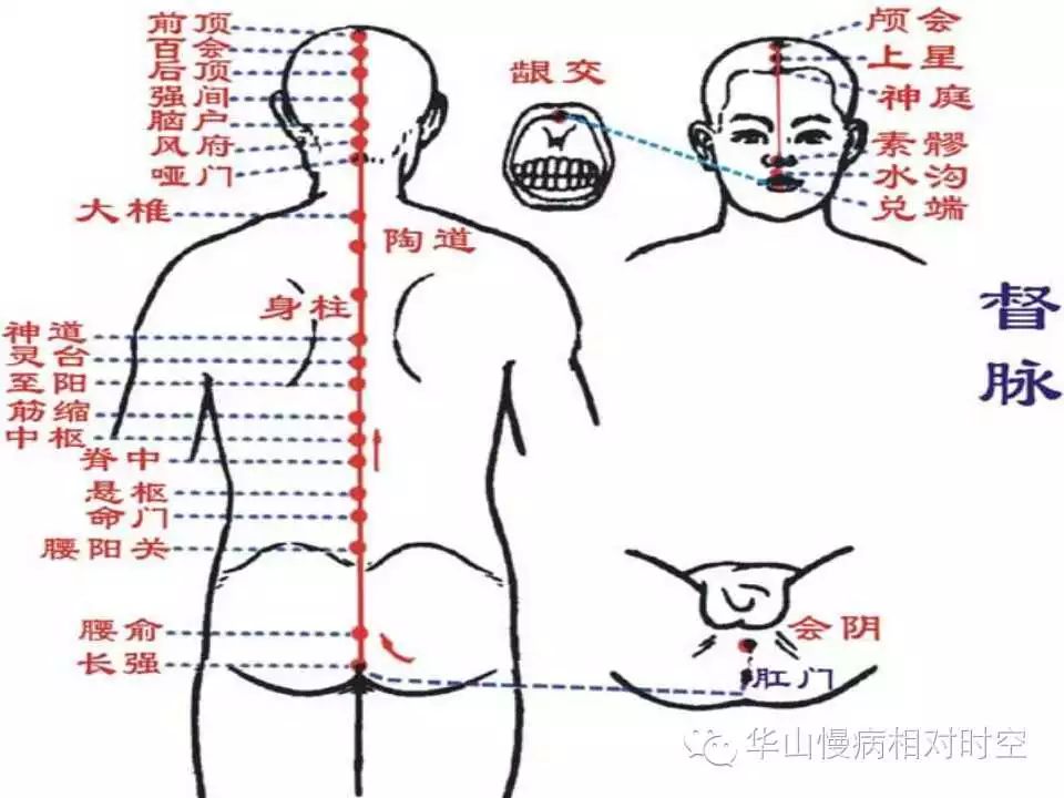 【华山医院专家讲座】最全的拍打经络方法,快收藏!