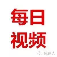 (每日热点) 黄磊回忆那些年奋斗的日子