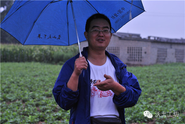 “王”的面粉--来自河南返乡青年王宁的生态石磨面粉  第4张