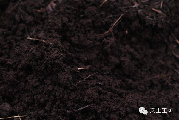 “王”的面粉--来自河南返乡青年王宁的生态石磨面粉  第1张