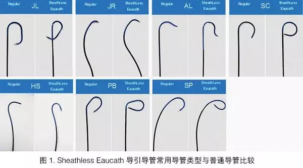 桡动脉鞘怎么读陈晖：经桡动脉无鞘指引导管的应用经验介绍——7.5F Sheathless Eaucath导引导管使用经验_https://www.jmylbn.com_新闻资讯_第1张