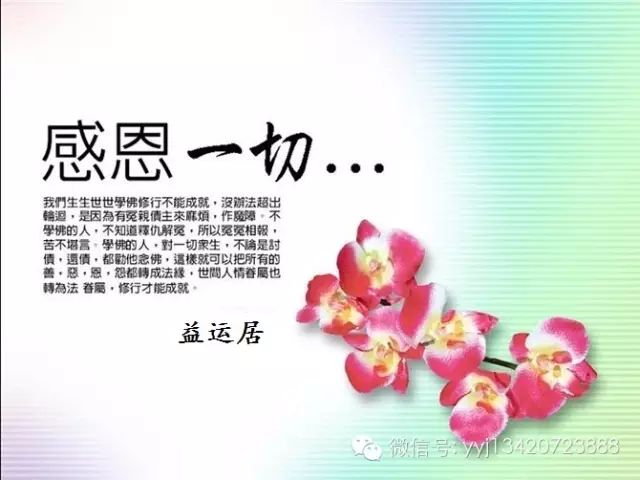 懂得去感恩身边的所有人