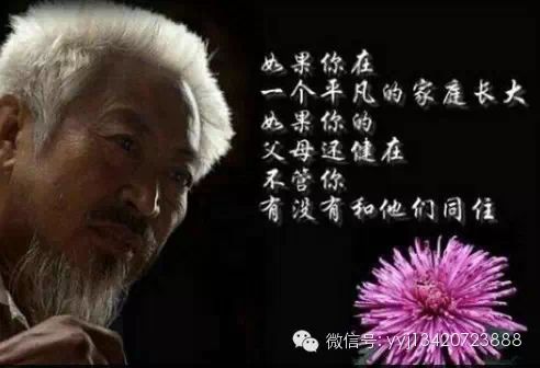 这辈子,父母不欠你什么