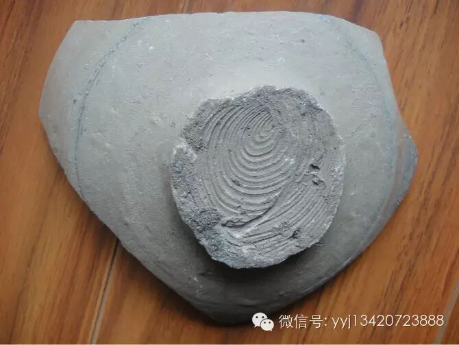 [转载]瓷器鉴定秘籍---修胎痕（精）