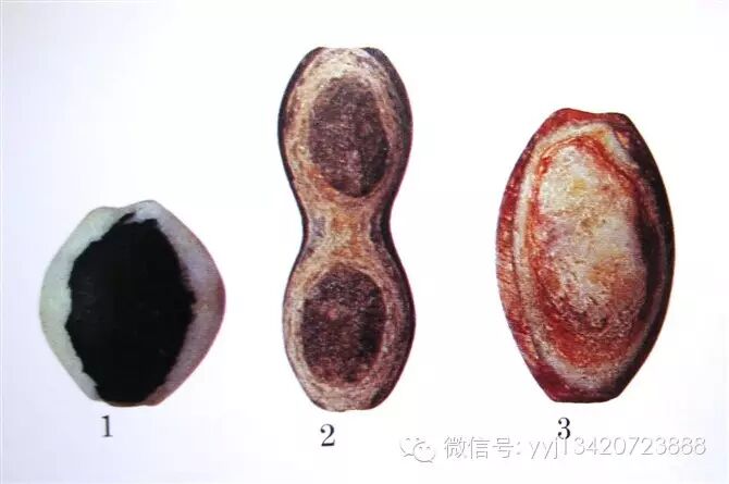 天珠-----眼珠、药师珠、线珠赏析