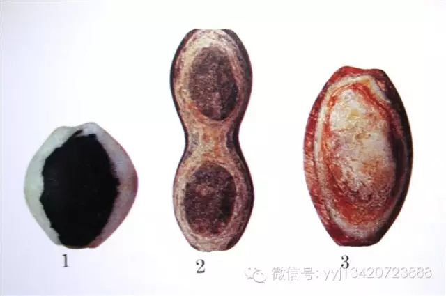 天珠-----眼珠、药师珠、线珠赏析 天珠-----眼珠、药师珠、线珠赏析