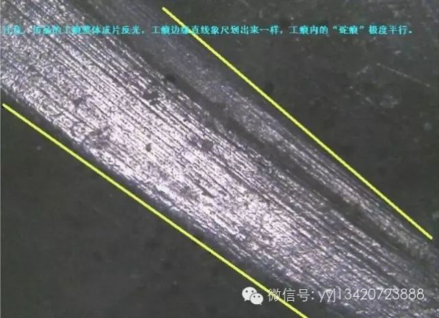 古玉工痕鑒定 <wbr>真假對比圖文(精) 古玉工痕鑒定 <wbr>真假對比圖文(精)