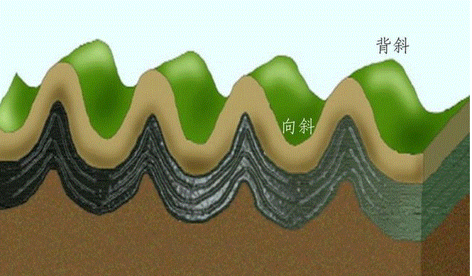 1,背斜,向斜 一个弯曲叫褶曲,褶曲分为背斜和向斜