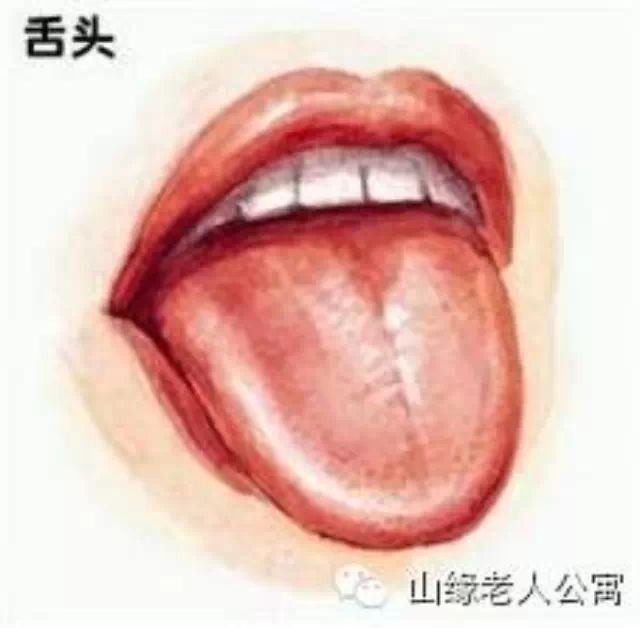 舌头原来是人体健康的“放大镜”