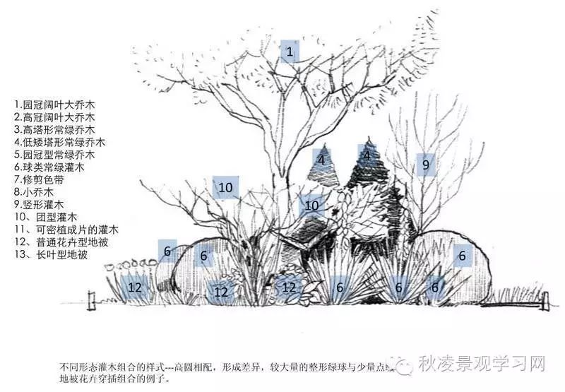 下午3点组景植物设计的层次选取与搭配原则在线学习