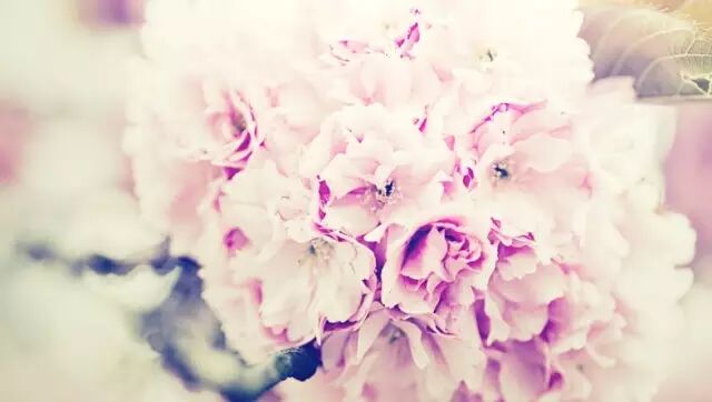 帶上Ta，找尋五月的那份悸動！