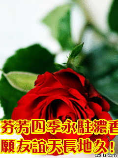 花美不常在,人诚心才连, 祝我群里的所有朋友: 和和美美,漂漂亮亮