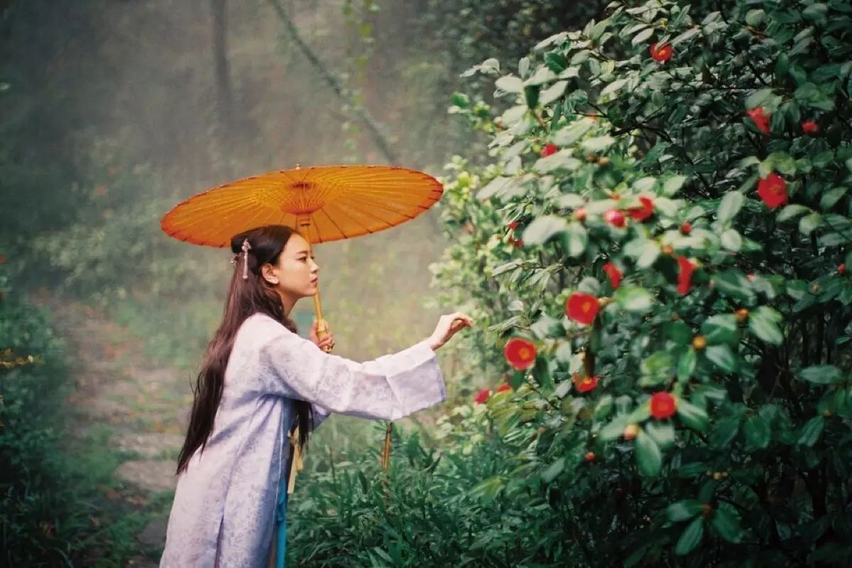 撑着油纸伞,独自 彷徨在悠长,悠长 又寂寥的雨巷 我希望逢着 一个丁香