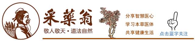 【原创】透过“虫草”和“植物伟哥”的遭遇看仙草产业（药材企业和热衷养生的人都有用）
