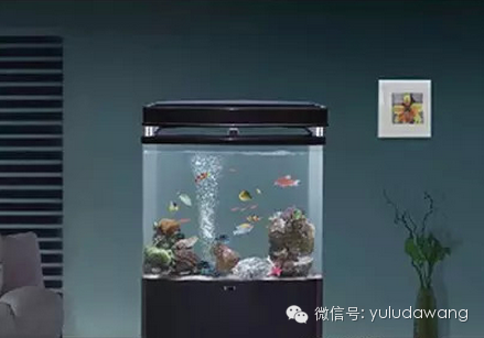 这个风水我找了7年终于找到了,不收藏后悔! - 建辉 - 建辉的博客 这个风水我找了7年终于找到了,不收藏后悔! - 建辉 - 建辉的博客