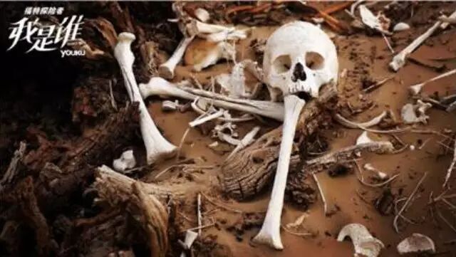 陈小春探险的精绝国,一条裹尸布价值三十万?!