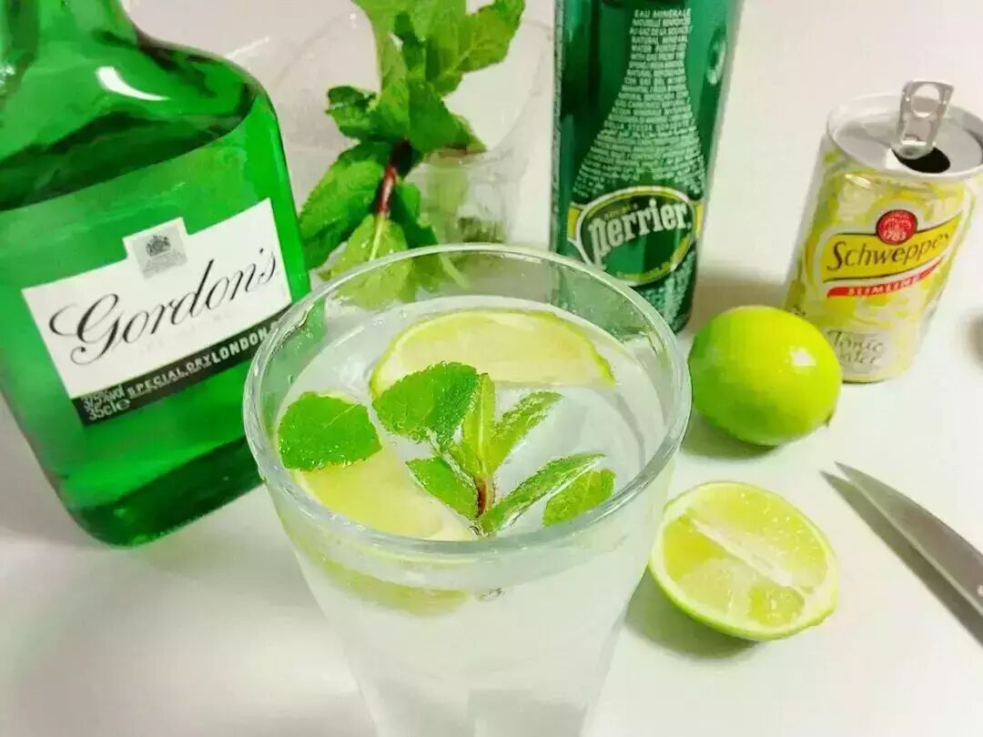 【莉莉玛莲丨Gin Tonic(金汤力)No Drunk No Return】