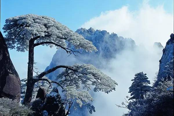 全國34個省市雪景大PK！大美中國！ 歷史 第3張