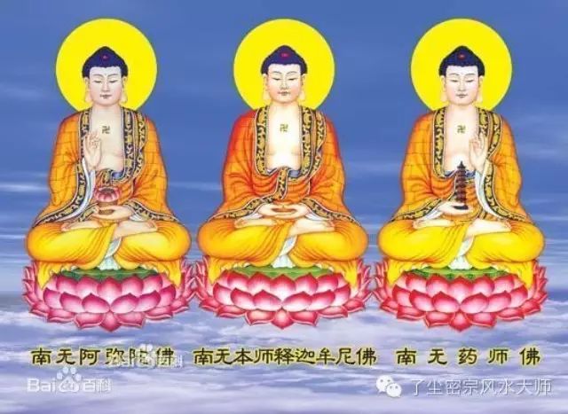 林志玲八字