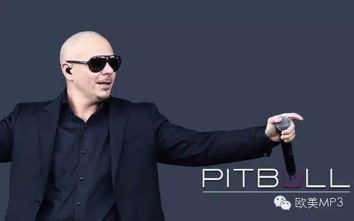 Pitbull - Wild Wild Love