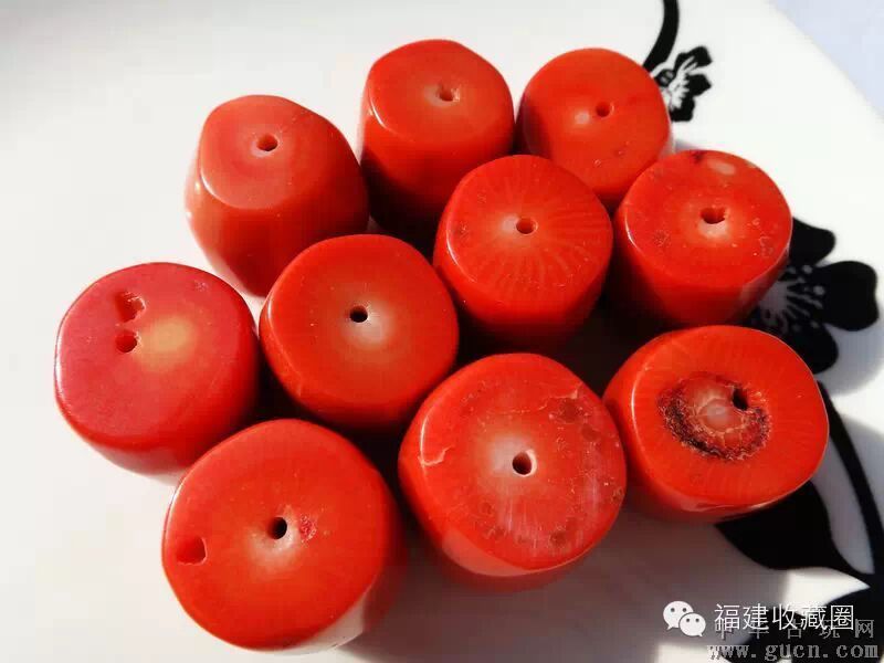 红珊瑚之阿卡和沙丁的特征和鉴别