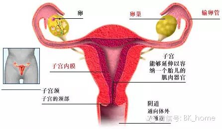 太恐怖了,女生来月经一定要知道的!