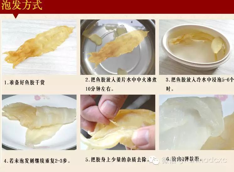 鱼胶(花胶)的 10 大功效。最全面的鱼胶(花胶)知识！