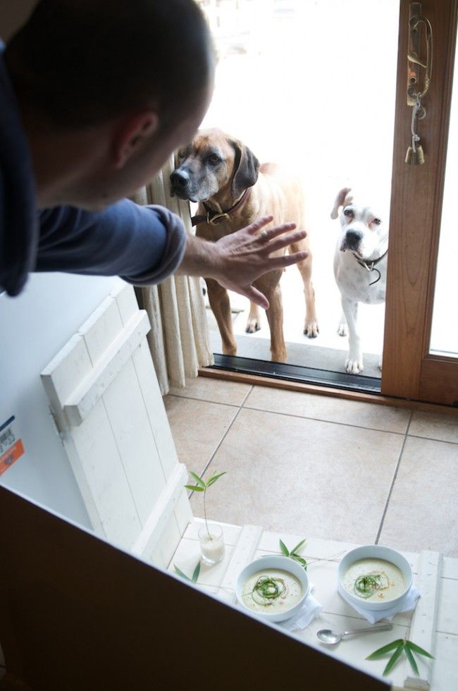 Фотографируем свои блюда