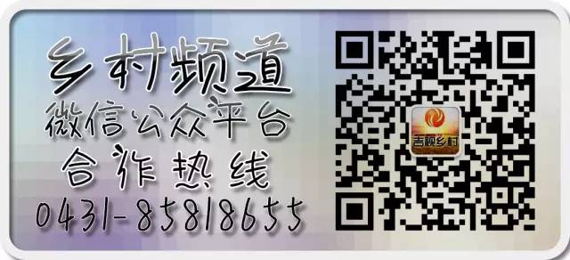 【先锋剧场】三妹怀孕后悲痛欲绝!杨豆筋又做了啥伤天害理的事儿?