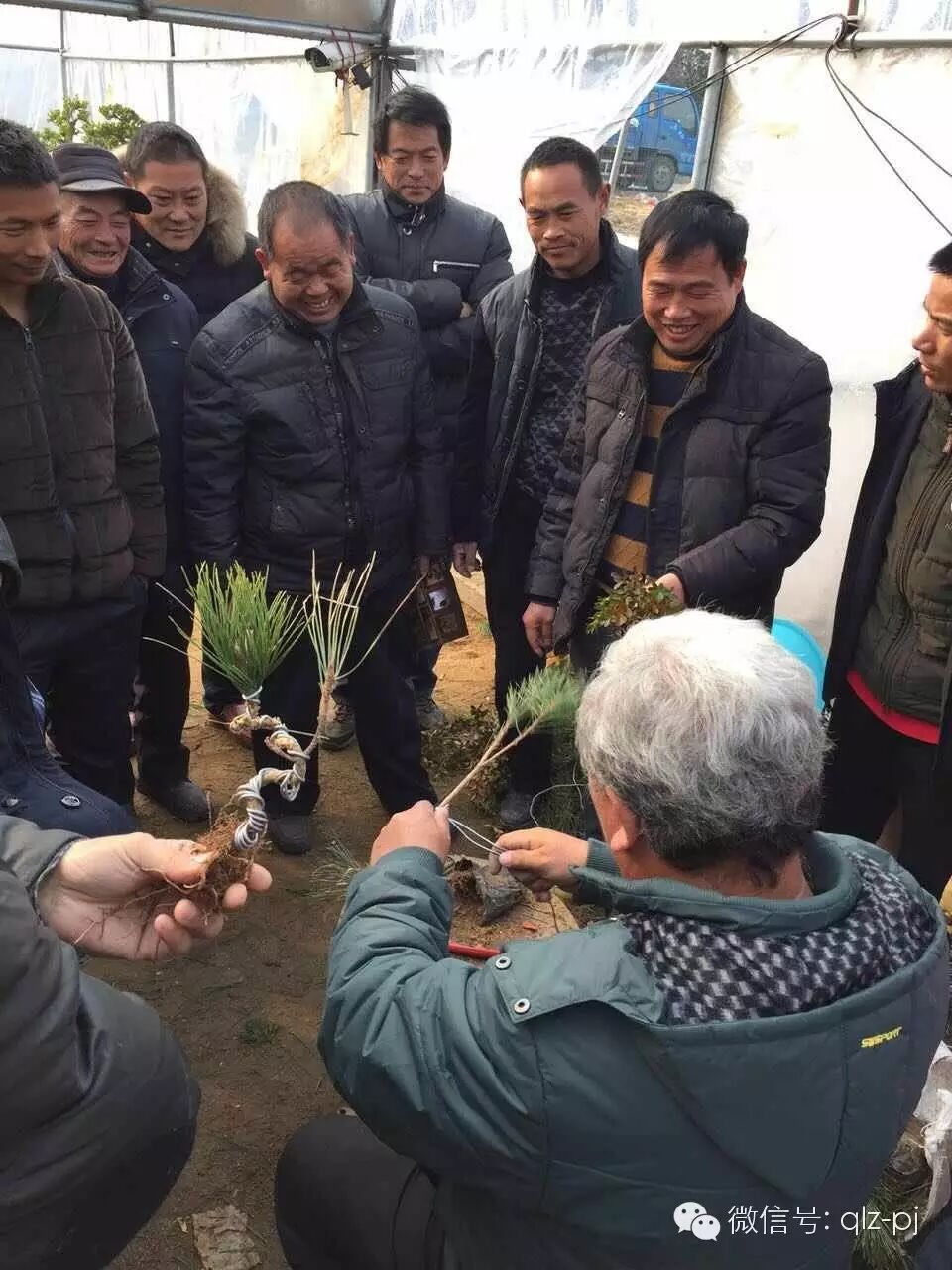 开车从淮安载去沭阳即拜访了盆景协会会长