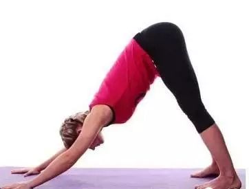瑜伽初级活动背部腹部的动作