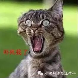 一个80后吃货妈咪的怀孕日记(附孕妈咪实战指南)-怀孕期