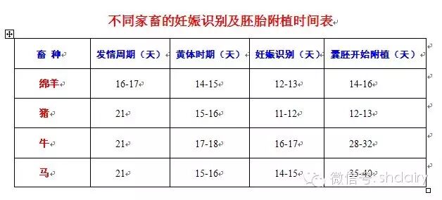 【技术论坛】姜宏星:奶牛怀孕早期妊娠识别的机制-怀孕期