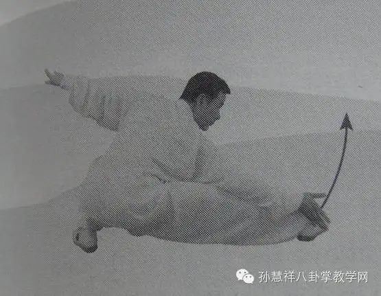 孙慧祥八卦掌教学 <wbr>—— <wbr>八卦二十四式六十四掌(下部) 孙慧祥八卦掌教学 <wbr>—— <wbr>八卦二十四式六十四掌(下部)