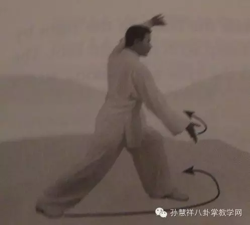 孙慧祥八卦掌教学 <wbr>—— <wbr>八卦二十四式六十四掌(下部) 孙慧祥八卦掌教学 <wbr>—— <wbr>八卦二十四式六十四掌(下部)