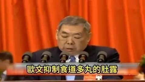 超越古天乐,崔世昌神级煲冬瓜被恶搞,不看字幕普通话...