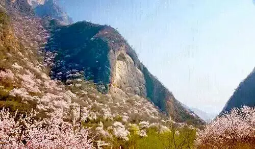(9)4月2日3日4日清明假期游览崆峒山，麦积山活动召集-户外活动图-驼铃网