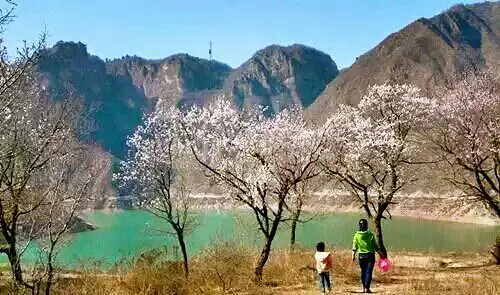 (12)4月2日3日4日清明假期游览崆峒山，麦积山活动召集-户外活动图-驼铃网