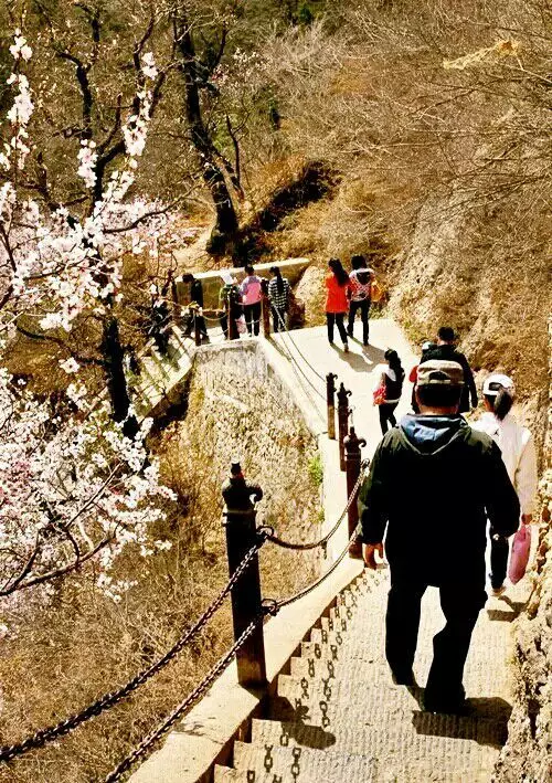 (7)4月2日3日4日清明假期游览崆峒山，麦积山活动召集-户外活动图-驼铃网