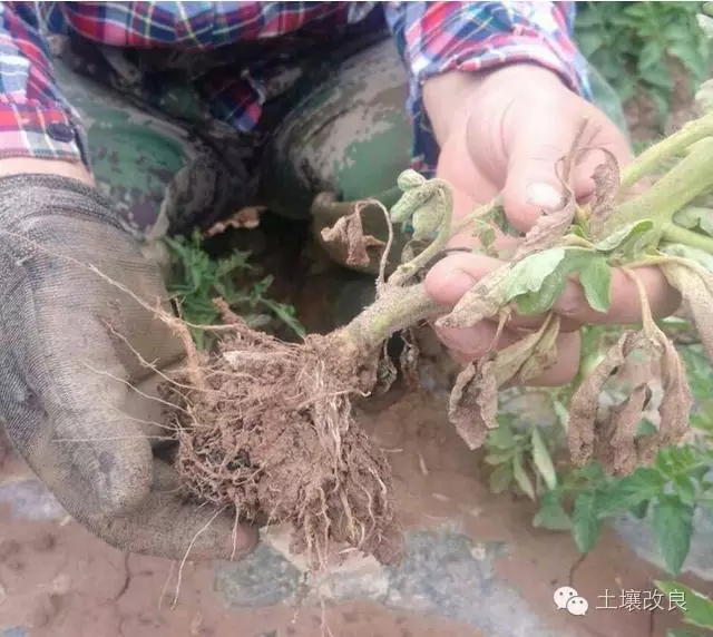 640?wx_fmt=jpeg&tp=webp&wxfrom=5&wx_lazy=1 640?wx_fmt=jpeg&tp=webp&wxfrom=5&wx_lazy=1