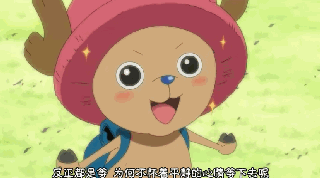 【闲聊】|《海贼王》萌物不止乔巴一个哦