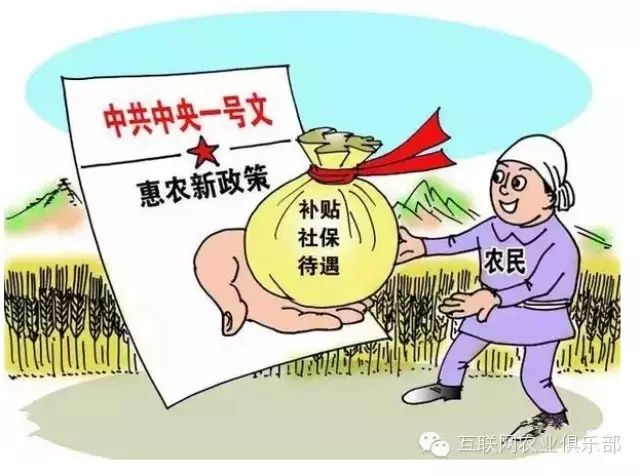 农业补贴政策新调整，明年如何才能拿到补贴？
