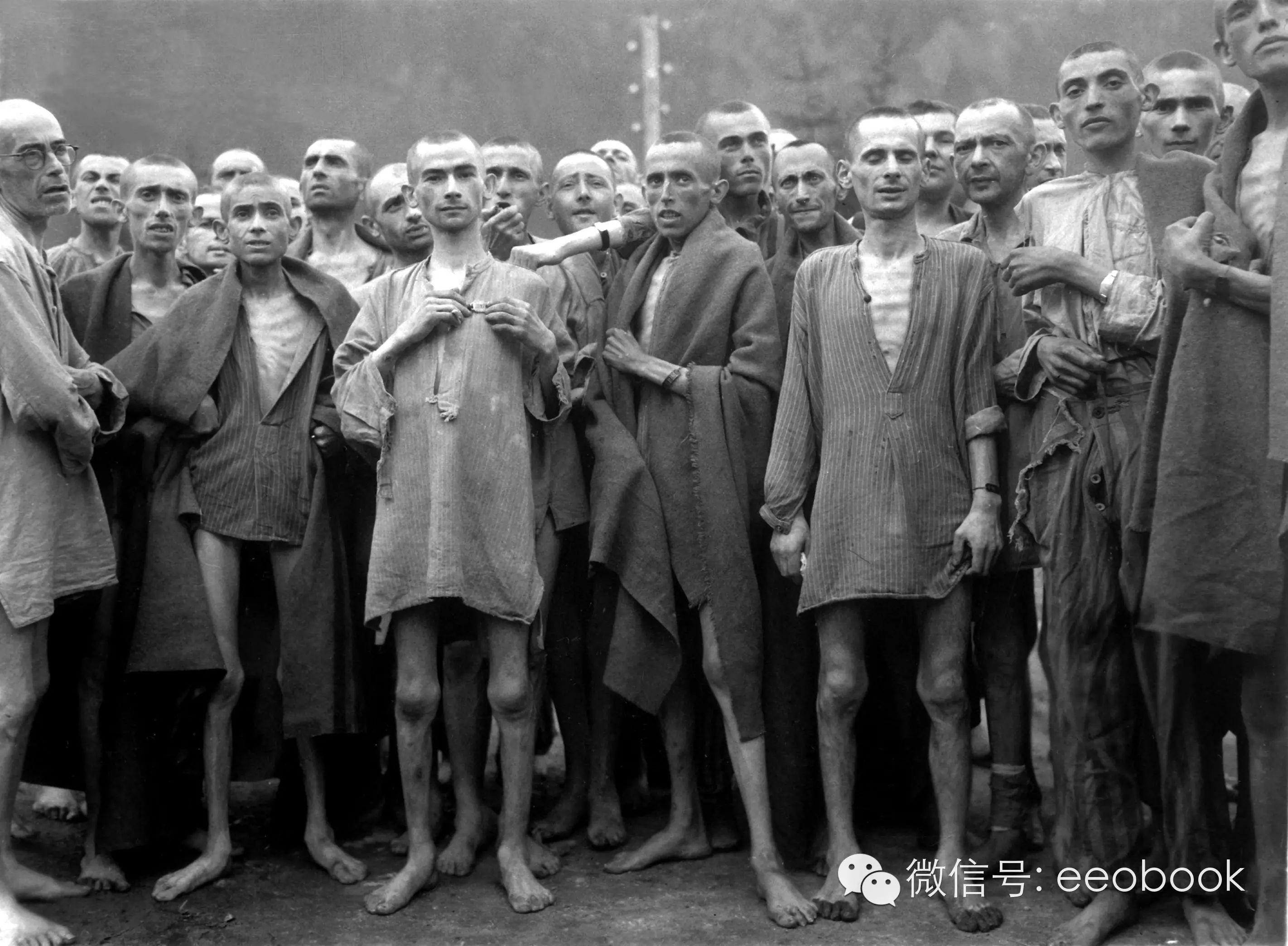 奥斯维辛集中营的幸存者
